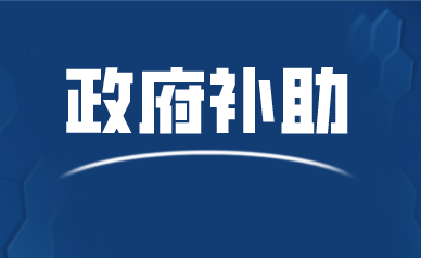 政府補助都有哪些形式_申報政策補助一般都有哪些方式將補助給到企業