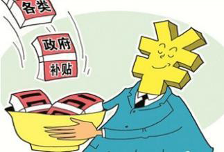 政府補貼項目對企業發展有何作用(企業如何看待政府補貼項目)