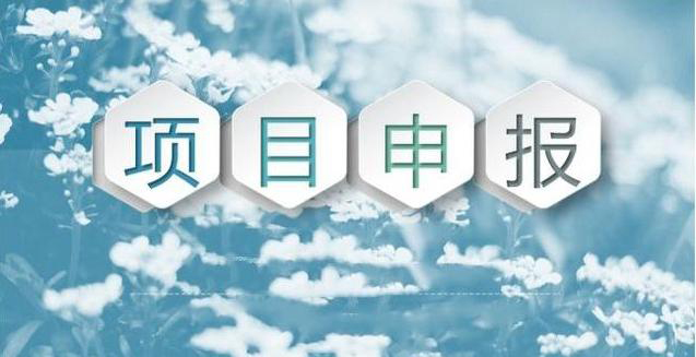 補貼項目申報代理機構哪家好_如何看一家項目申報代理機構好與不好